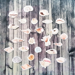 Kagylógyűjtemény | papír díszítőelem készlet